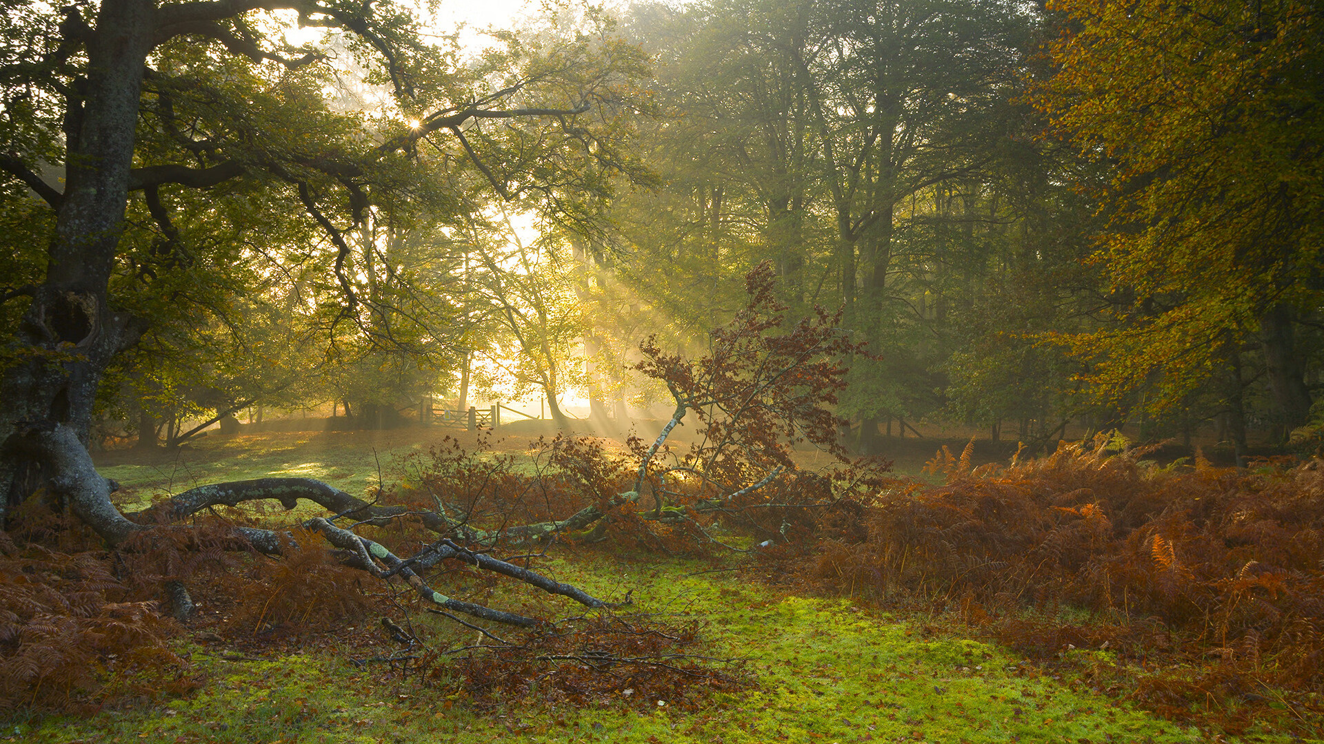 “未来足球运动科学训练在国内全面推行”,未来足球技术的发展方向