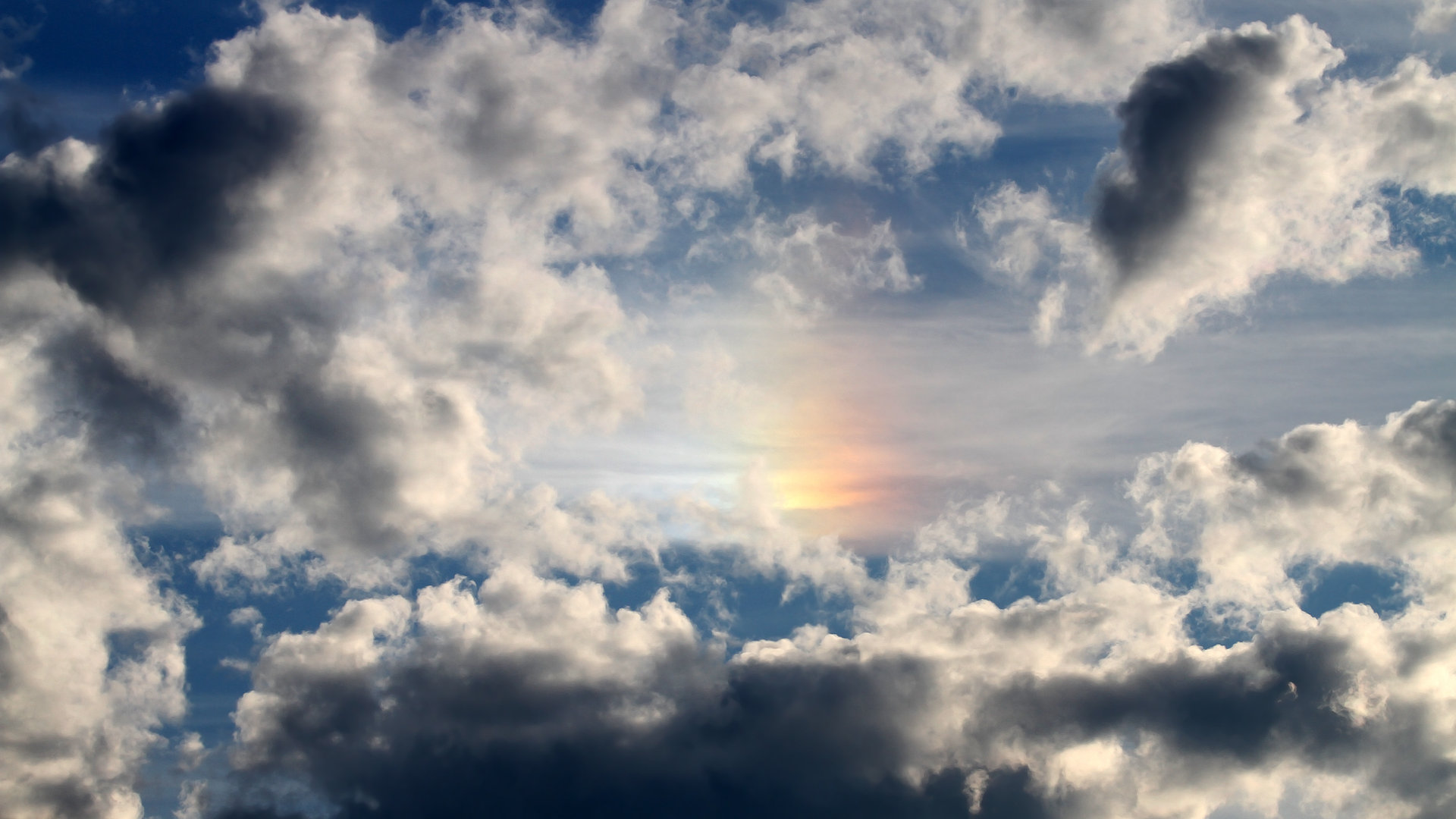 “非凡战术：中锋位置的创新打法揭秘”，中锋实战视频