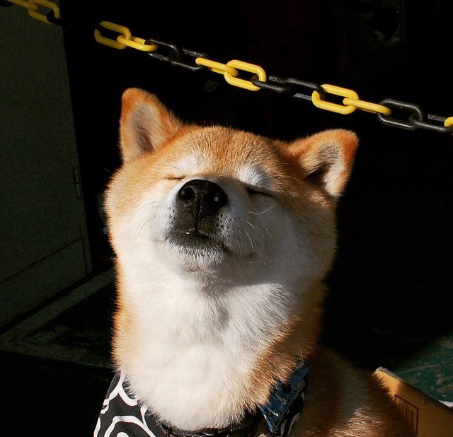 保级大战:末位球队拼杀,积分差距微妙变化,nba保级赛