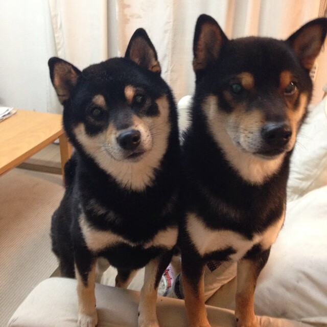 墨西哥男足在巴黎奥运会比赛中表现出色，赢得奖牌，奥运男足墨西哥对巴西比分预测