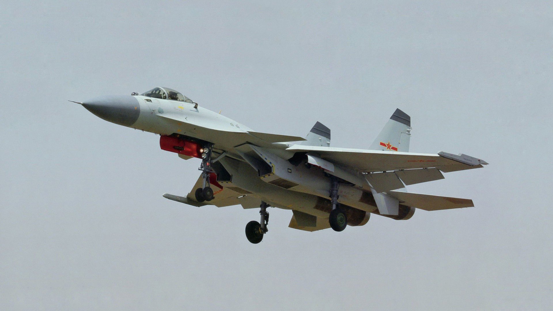 板球世界杯：团队协作引领胜利，板球国际赛事