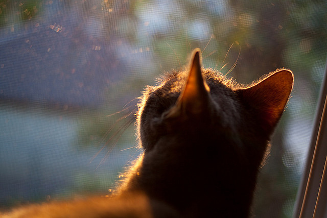 克罗地亚战平北爱尔兰，小组出线悬念，克罗地亚战场