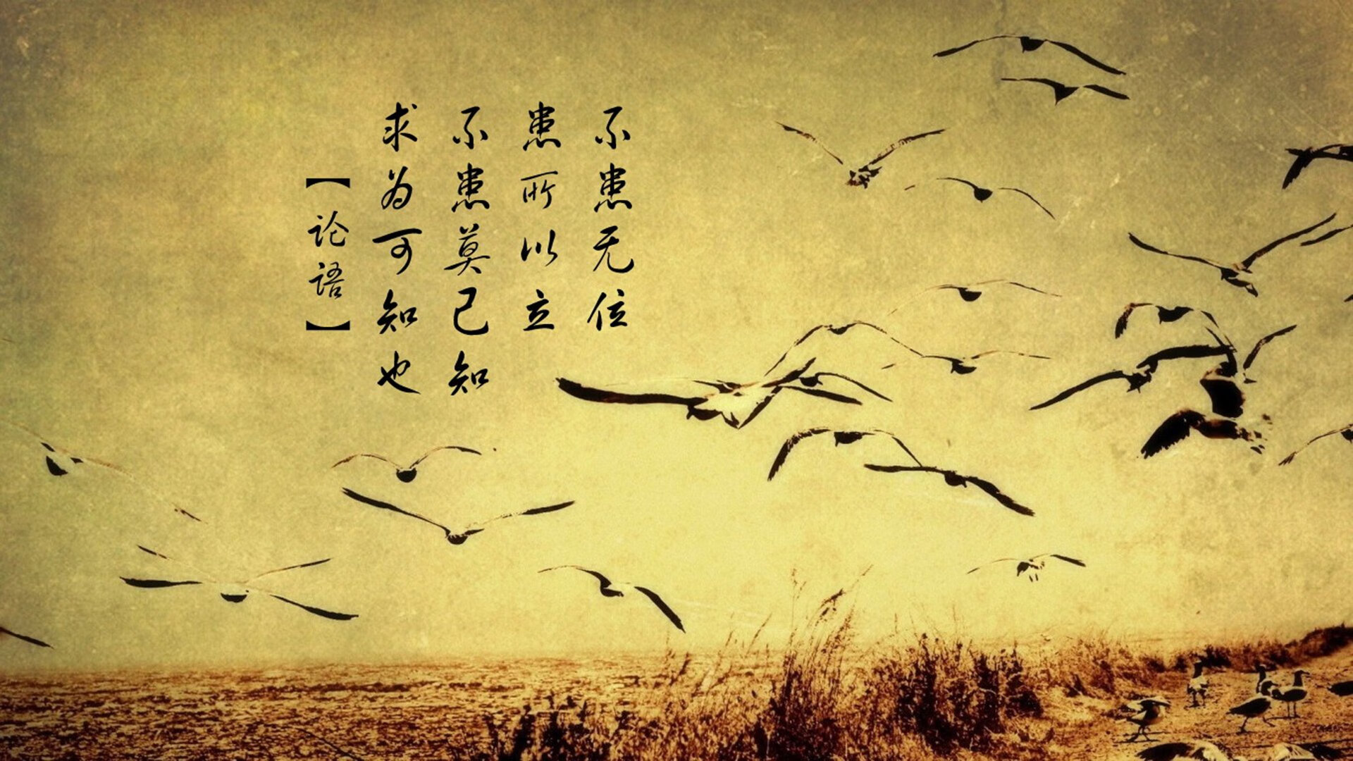 克罗地亚手球队在巴黎奥运会上展现了强大的进攻火力，克罗地亚 队