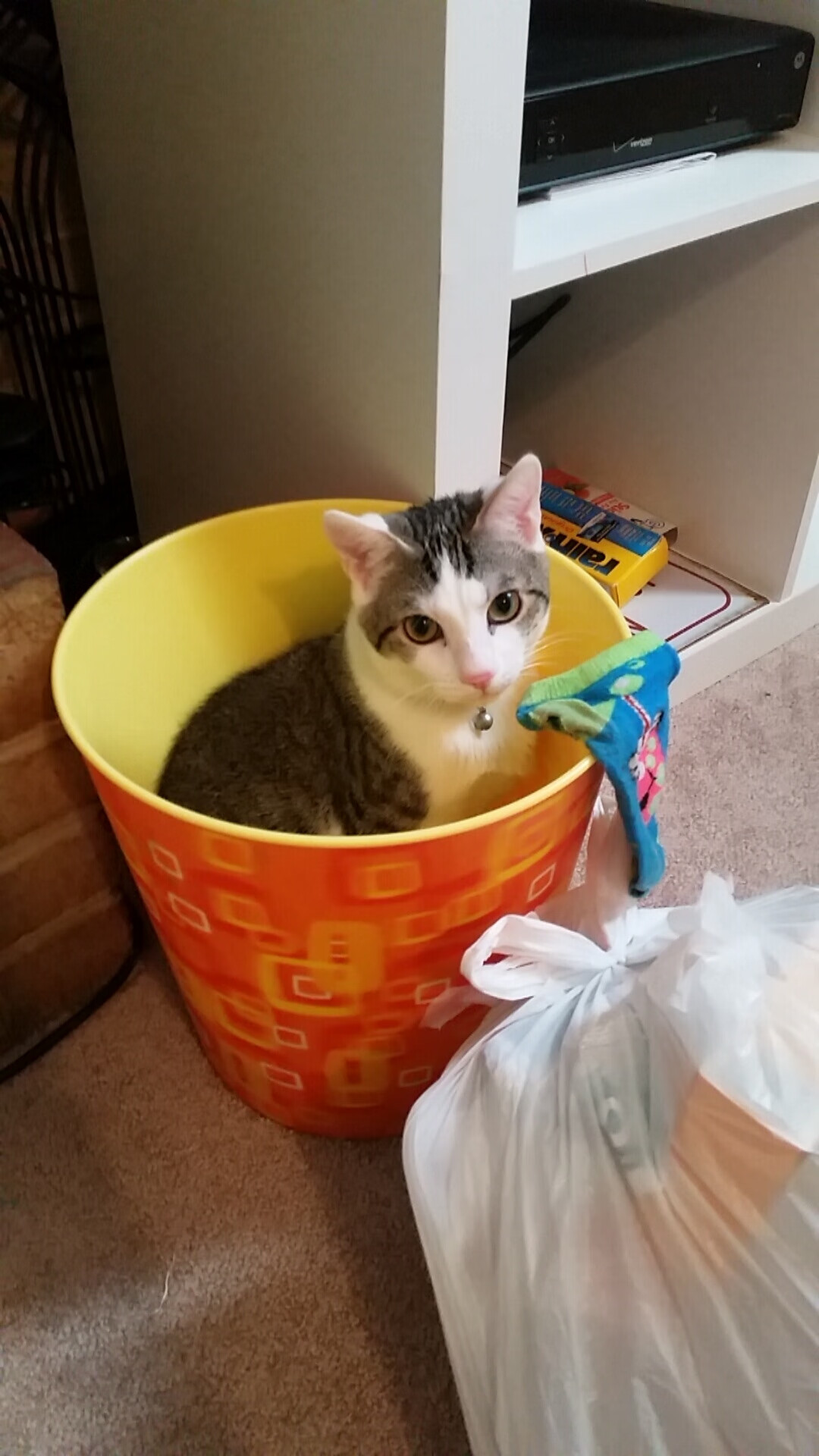 吉尔英联将迎战曼城，强强对话势必激烈，nba吉尔