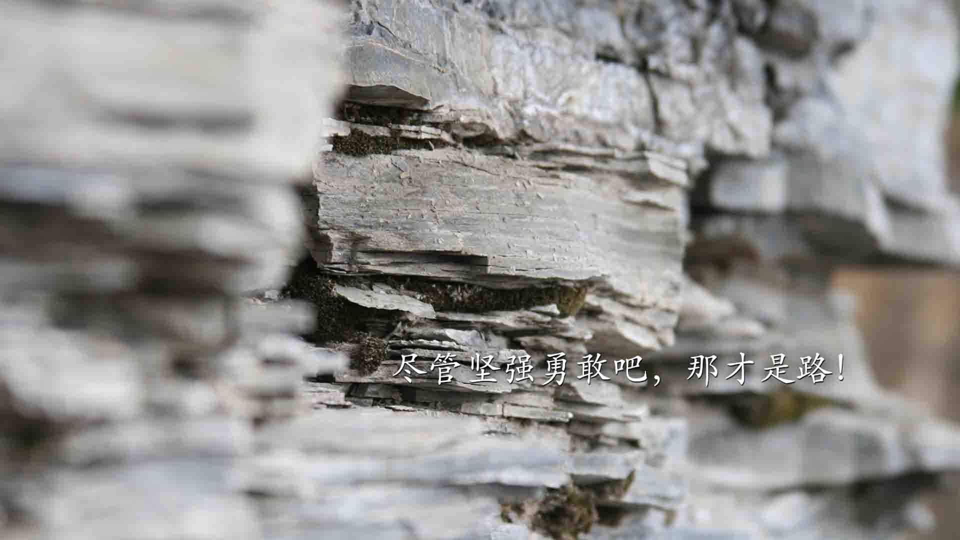 塞维利亚主场大捷，实现全面胜利，塞维利亚球场