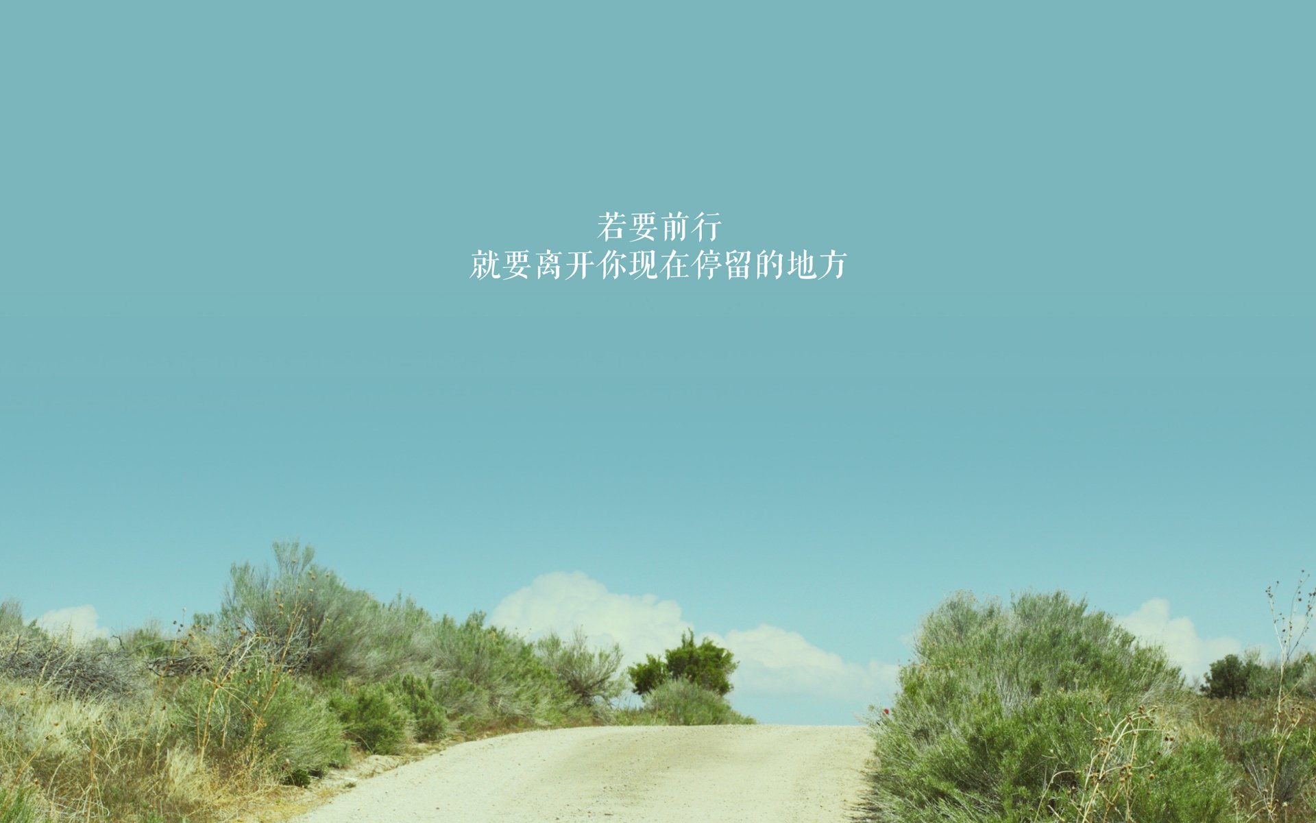 意外拳击裁判被指误判引风波，拳击误伤裁判视频