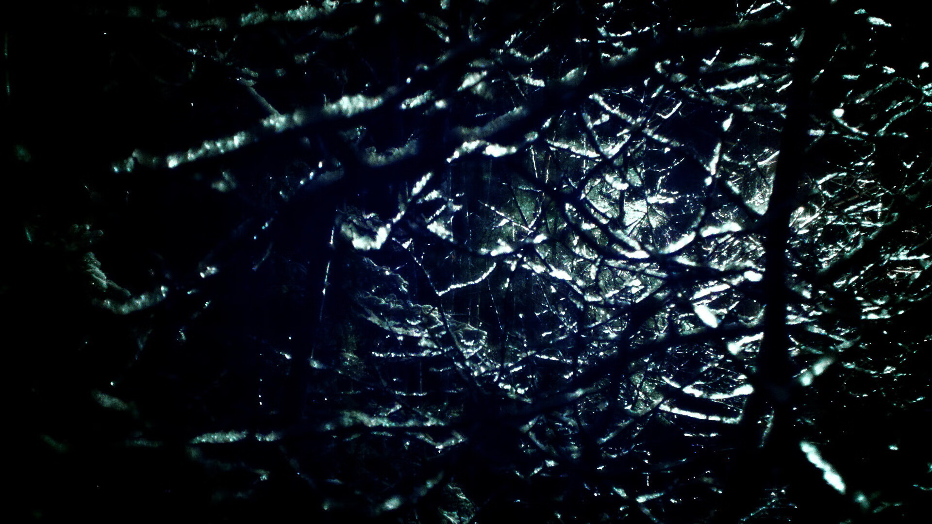 杰伦·布朗荣膺2024年NBA总决赛MVP,nba2020年总决赛mvp是谁