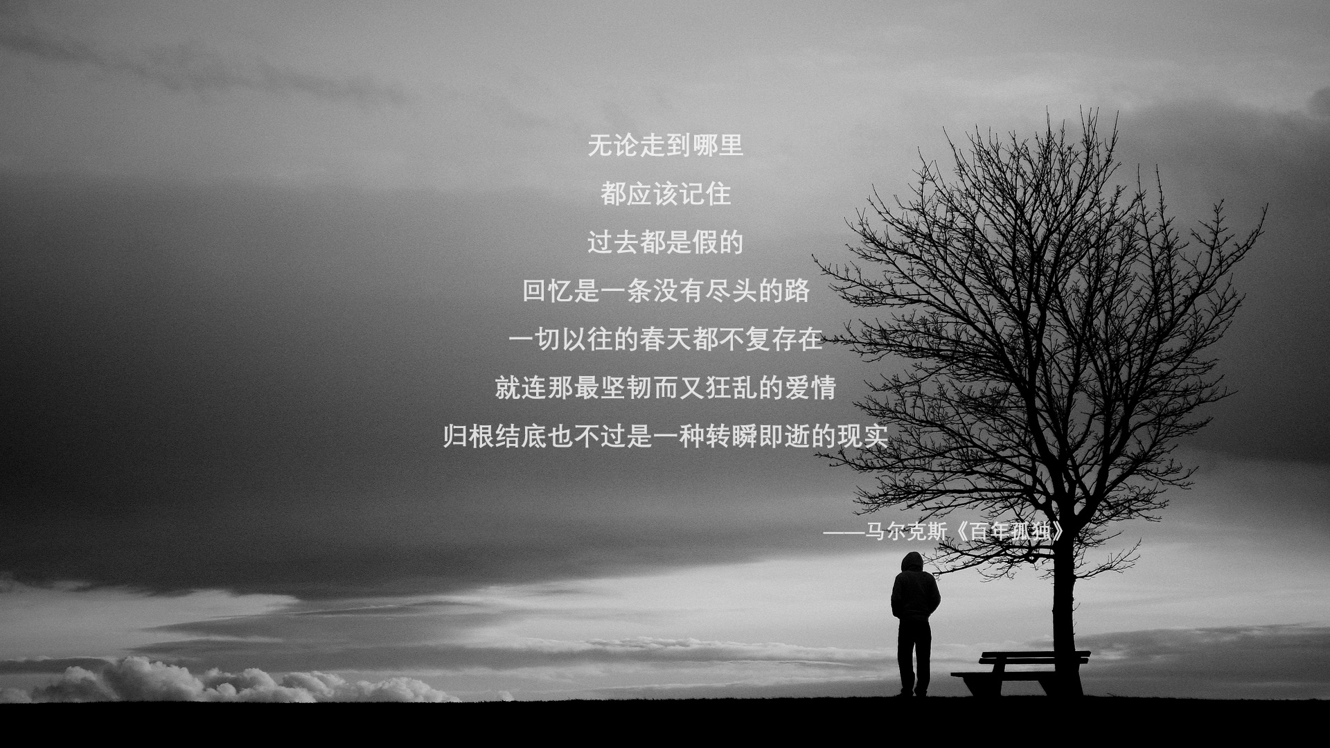 美国骑手吉塔·日特科维奇荣获2024年最佳障碍赛骑手奖，表彰其卓越表现。