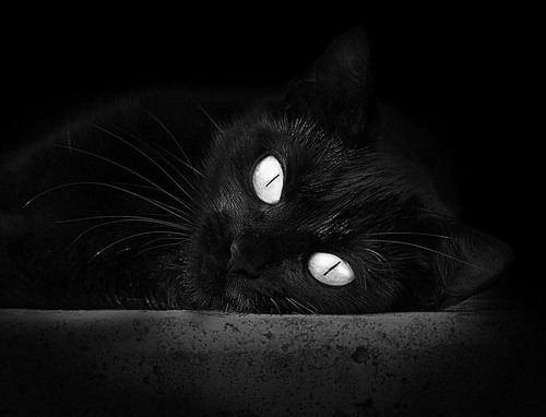 葡萄牙女足在预选赛中未能晋级巴黎奥运会，葡萄牙女足在预选赛中未能晋级巴黎奥运会吗