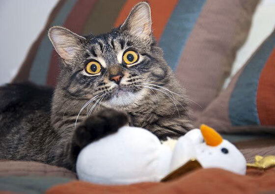 中小学体育教师教学方法创新实践,中小学体育教师教学方法创新实践研究