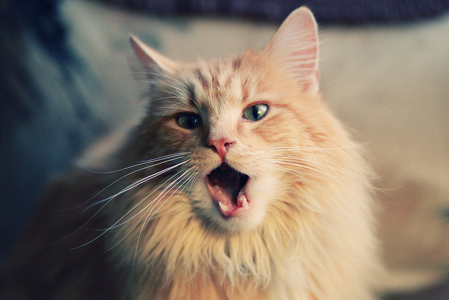 体育新闻中心发布体育新闻传播伦理规范,我国体育新闻传播的现状及趋势展望