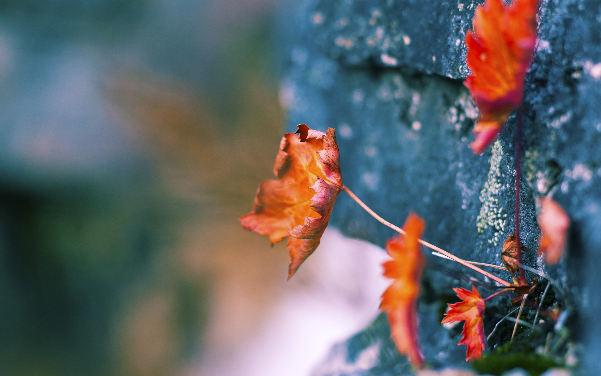 水球比赛中立代表队A防守坚固,水球比赛中球最多在手中停留多少秒