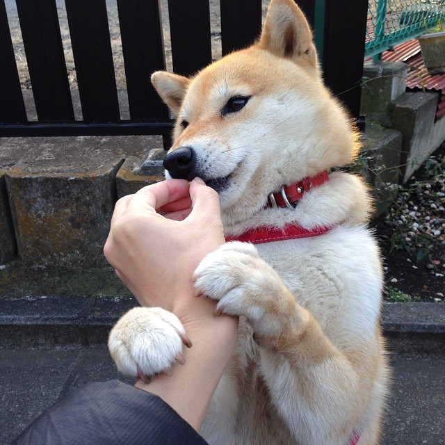 美洲杯明星再登场：突破、助攻、精彩不断！，美洲杯大名单